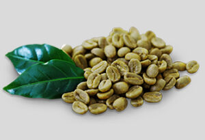 Arabic Green Coffee Bean