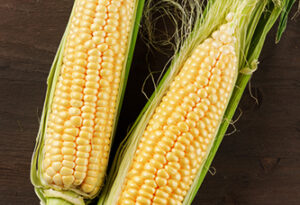 White Corn